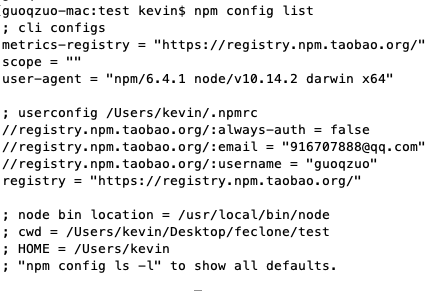 npm_config.png